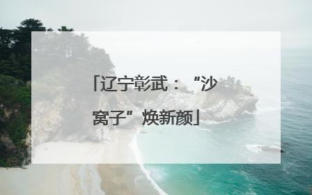 辽宁彰武：“沙窝子”焕新颜