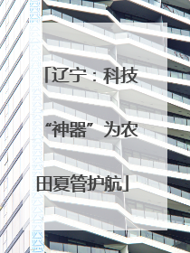 辽宁：科技“神器”为农田夏管护航