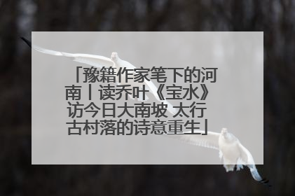 豫籍作家笔下的河南丨读乔叶《宝水》访今日大南坡 太行古村落的诗意重生