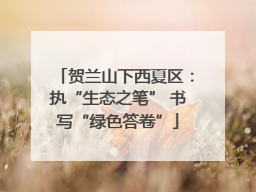 贺兰山下西夏区：执“生态之笔” 书写“绿色答卷”