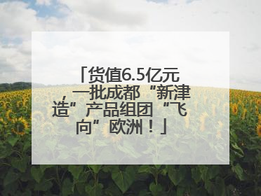 货值6.5亿元，一批成都“新津造”产品组团“飞向”欧洲！