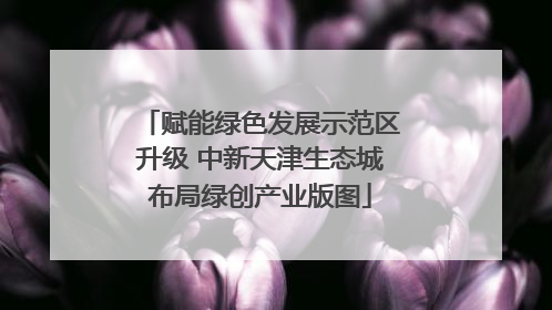 赋能绿色发展示范区升级 中新天津生态城布局绿创产业版图