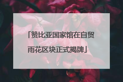 赞比亚国家馆在自贸雨花区块正式揭牌
