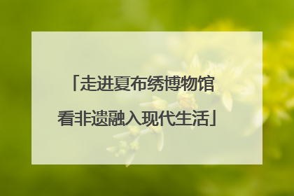 走进夏布绣博物馆 看非遗融入现代生活