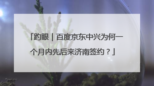 趵眼｜百度京东中兴为何一个月内先后来济南签约？