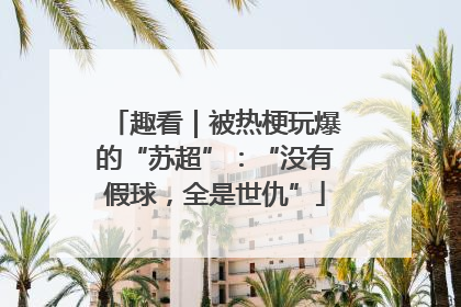 趣看｜被热梗玩爆的“苏超”：“没有假球，全是世仇”