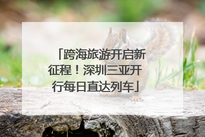 跨海旅游开启新征程！深圳三亚开行每日直达列车