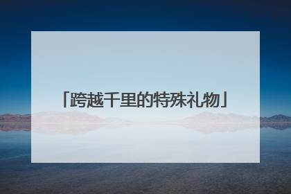 跨越千里的特殊礼物