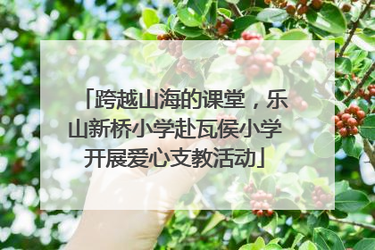 跨越山海的课堂，乐山新桥小学赴瓦侯小学开展爱心支教活动