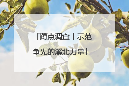 蹲点调查丨示范争先的溪北力量