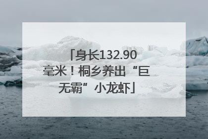 身长132.90毫米！桐乡养出“巨无霸”小龙虾