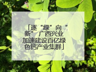 逐“绿”向“新” 广西兴业加速建设百亿绿色钙产业集群
