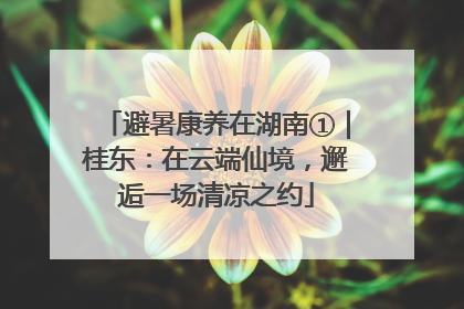 避暑康养在湖南①｜桂东：在云端仙境，邂逅一场清凉之约