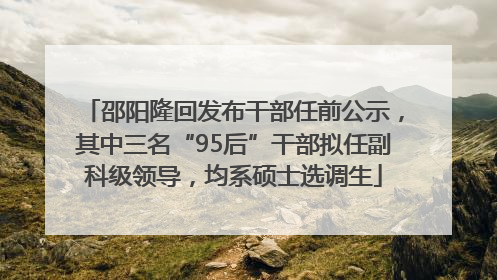 邵阳隆回发布干部任前公示，其中三名“95后”干部拟任副科级领导，均系硕士选调生