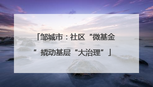 邹城市：社区“微基金”撬动基层“大治理”