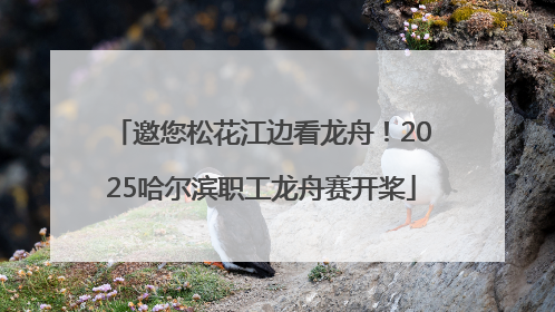 邀您松花江边看龙舟！2025哈尔滨职工龙舟赛开桨