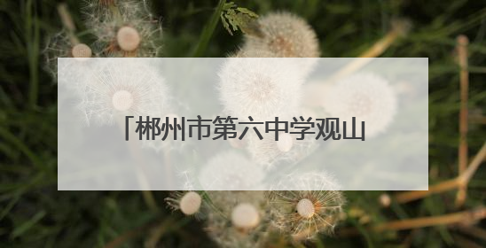 郴州市第六中学观山学校走进七一一研学红培教育营地研学活动