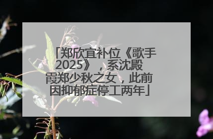 郑欣宜补位《歌手2025》，系沈殿霞郑少秋之女，此前因抑郁症停工两年