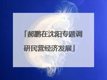 郝鹏在沈阳专题调研民营经济发展