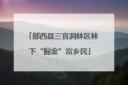 郧西县三官洞林区林下“掘金”富乡民