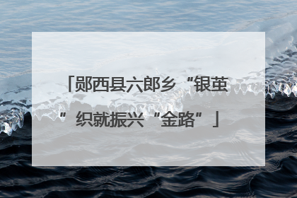 郧西县六郎乡“银茧”织就振兴“金路”