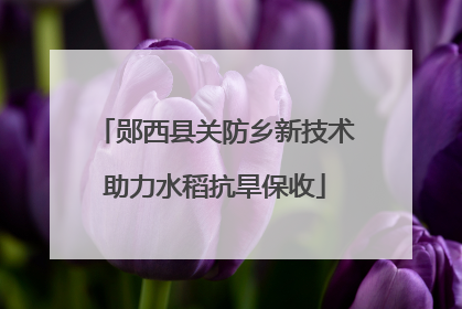 郧西县关防乡新技术助力水稻抗旱保收