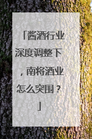 酱酒行业深度调整下，南将酒业怎么突围？