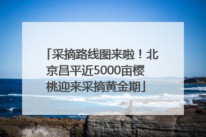 采摘路线图来啦！北京昌平近5000亩樱桃迎来采摘黄金期