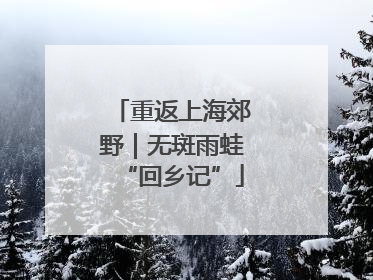 重返上海郊野｜无斑雨蛙“回乡记”