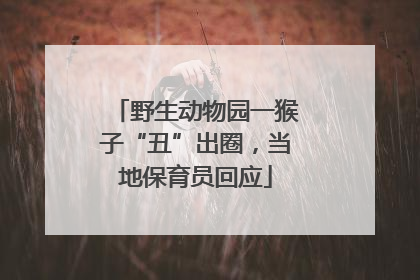 野生动物园一猴子“丑”出圈，当地保育员回应
