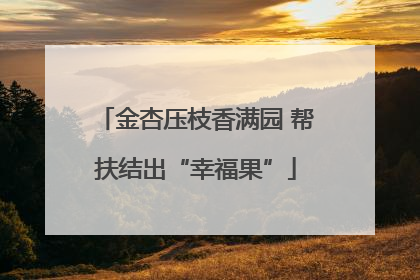 金杏压枝香满园 帮扶结出“幸福果”