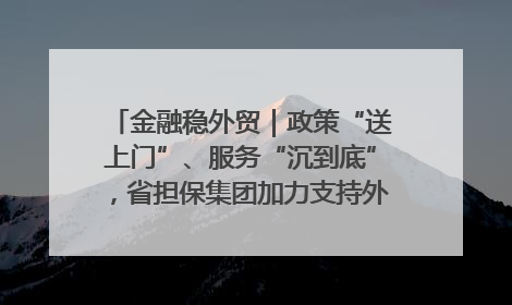 金融稳外贸｜政策“送上门”、服务“沉到底”，省担保集团加力支持外经贸高质量发展