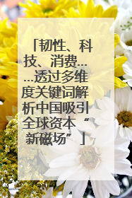 韧性、科技、消费……透过多维度关键词解析中国吸引全球资本“新磁场”