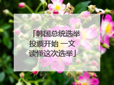 韩国总统选举投票开始 一文读懂这次选举