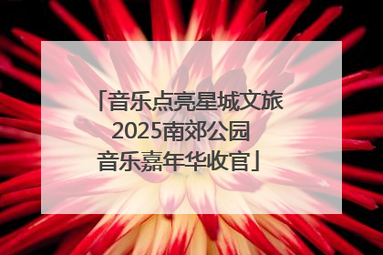 音乐点亮星城文旅 2025南郊公园音乐嘉年华收官