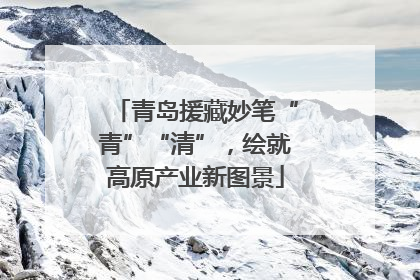 青岛援藏妙笔“青”“清”，绘就高原产业新图景
