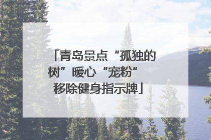 青岛景点“孤独的树”暖心“宠粉” 移除健身指示牌