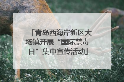 青岛西海岸新区大场镇开展“国际禁毒日”集中宣传活动