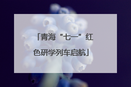 青海“七一”红色研学列车启航