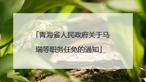 青海省人民政府关于马瑞等职务任免的通知