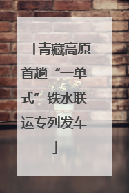 青藏高原首趟“一单式”铁水联运专列发车