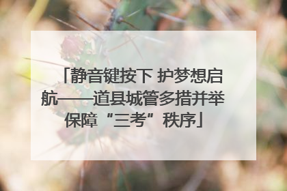 静音键按下 护梦想启航——道县城管多措并举保障“三考”秩序