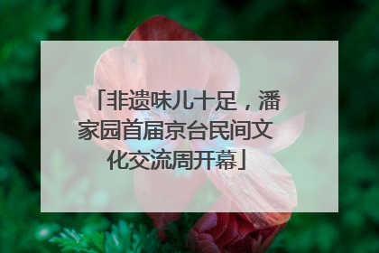 非遗味儿十足，潘家园首届京台民间文化交流周开幕