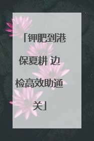 钾肥到港保夏耕 边检高效助通关