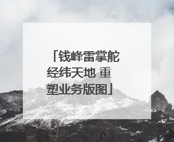 钱峰雷掌舵经纬天地 重塑业务版图