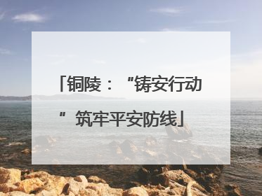 铜陵：“铸安行动”筑牢平安防线