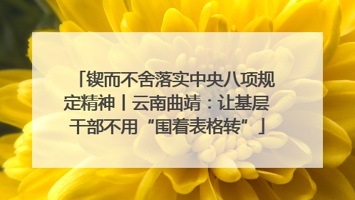锲而不舍落实中央八项规定精神丨云南曲靖：让基层干部不用“围着表格转”