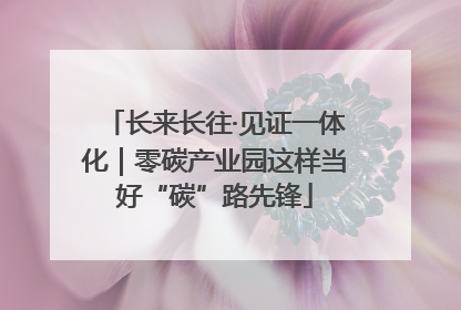 长来长往·见证一体化｜零碳产业园这样当好“碳”路先锋