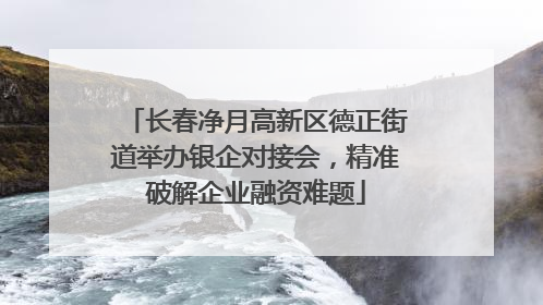 长春净月高新区德正街道举办银企对接会，精准破解企业融资难题