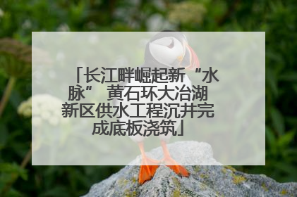 长江畔崛起新“水脉” 黄石环大冶湖新区供水工程沉井完成底板浇筑